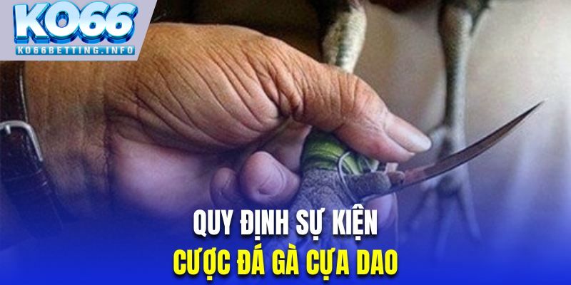 Những sự kiện chọi kê cưa dao được yêu thích nhất